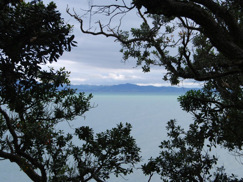Nouvelle Zélande - Voyage sur mesure -Plage - Lac - Nature - Voyage de noces