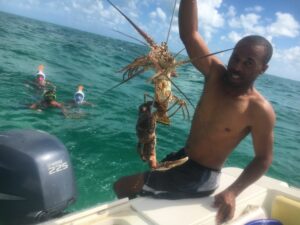 Travel Planner - Bahamas - Pêche au Bahamas - Langouste Eleuthera