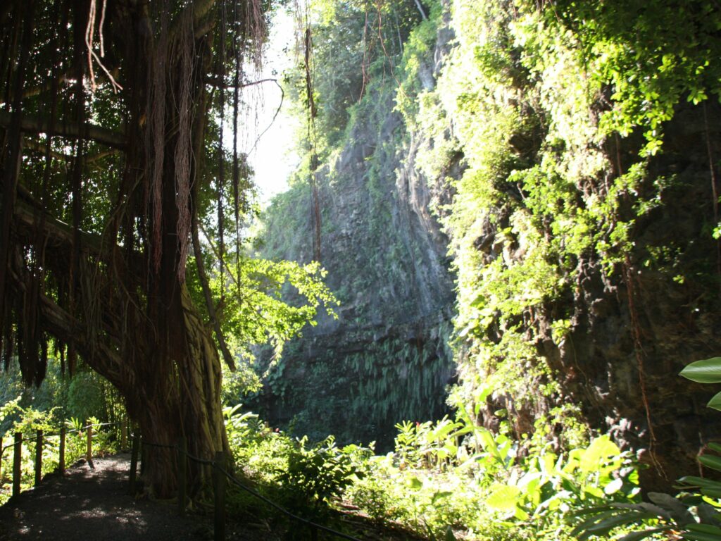 Travel Planner - Tahiti - Nature sauvage